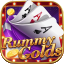 jungly rummy icon
